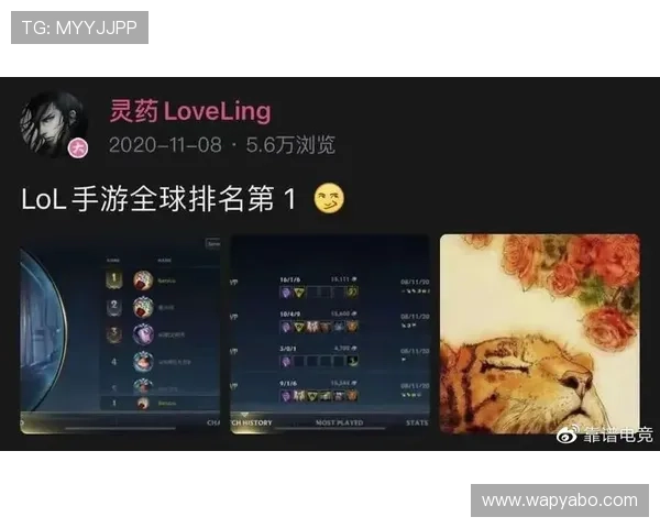 亚博YB电竞的行业地位与市场份额分析，探讨其在电竞行业中的竞争优势